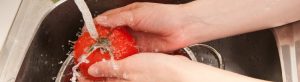header-securite-alimentaire-institut-culinaire